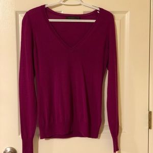 👚 The Limited Sweater